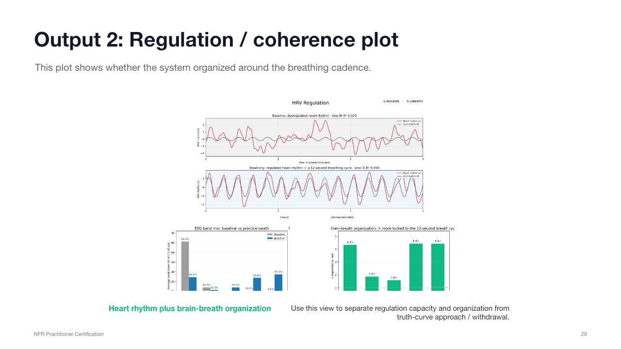 Regulation and coherence plot output slide showing HRV rhythm and brain-breath organization