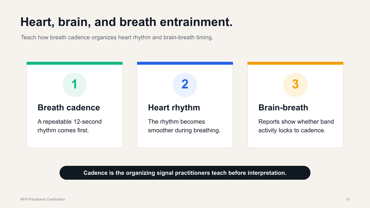 Three cards showing breath cadence, heart rhythm, and brain-breath timing as the entrainment sequence